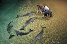 Moreton Island QLD Accommodation VIC
