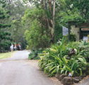Tamborine Mountain Caravan  Camping - Accommodation VIC