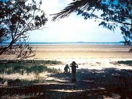 Midge Point QLD Accommodation VIC