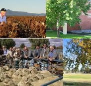 Southern Cross Motor Inn - Accommodation VIC