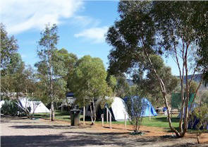 Flinders Ranges Caravan Park - Accommodation VIC 2