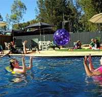 Kingston On Murray Caravan Park - Accommodation VIC