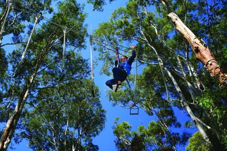 Cedar Creek Lodges - Accommodation VIC 3