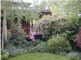 FINCHES OF BEECHWORTH - Accommodation VIC 1