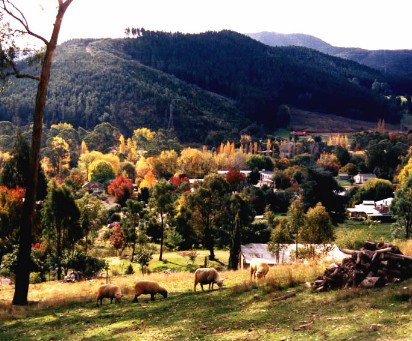 Goldfields Holiday Units - Accommodation VIC 1
