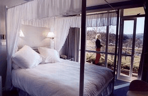 Port Arthur Motor Inn - Accommodation VIC 4