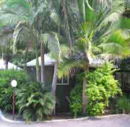 Nambour Rainforest Holiday Village - Accommodation VIC 1