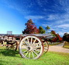 The Oaks Ranch and Country Club - Mossy Point - Accommodation VIC