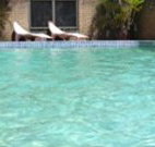 Toreador Motel - Coffs Harbour - Accommodation VIC