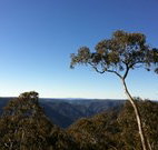 Coach Cottage - Accommodation VIC