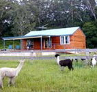 Moorallie Cottage Farm Stay - Accommodation VIC