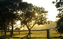 Rocky Mountains - Accommodation VIC 4