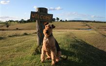 Rocky Mountains - Accommodation VIC 7