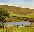 Sanctuary Hill Retreat - Accommodation VIC