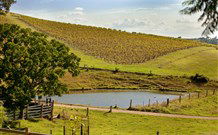 Sanctuary Hill Retreat - Accommodation VIC 0