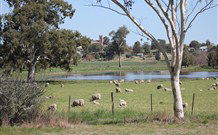 Yamba Farmstay - Accommodation VIC 5