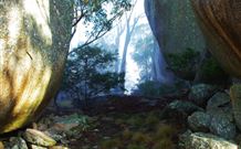 Anketell Forest Cottages - Accommodation VIC 4