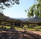 Cedar Grove - - Accommodation VIC