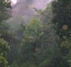 Havans Ecotourist Retreat - - Accommodation VIC