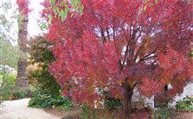 Langford House B&B - Accommodation VIC 4