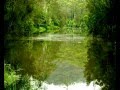Mangrove Yoga Ashram - - Accommodation VIC 0
