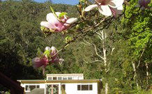 Mangrove Yoga Ashram - - Accommodation VIC 2