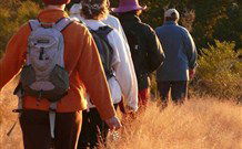 Mangrove Yoga Ashram - - Accommodation VIC 3