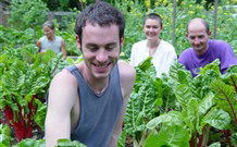 Mangrove Yoga Ashram - - Accommodation VIC 8