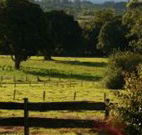 Pines on the Plateau - Accommodation VIC