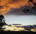 Silkwood B and B - Accommodation VIC