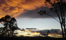 Silkwood B And B - Accommodation VIC 0