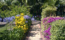 Wamberal Cottage - Accommodation VIC 7