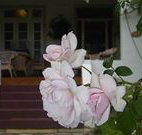 White House Heritage Guesthouse - Accommodation VIC