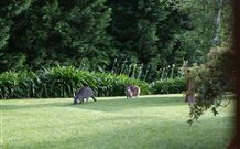 Yallambee Bed And Breakfast - Accommodation VIC 4