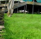 Snowy Valley Resort - Accommodation VIC