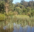 Fosterton Lodge Retreat - Accommodation VIC