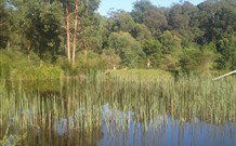Fosterton Lodge Retreat - Accommodation VIC 0