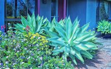 Jerrys Plains NSW Accommodation VIC