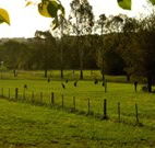Stone Cottage Mittagong - Accommodation VIC
