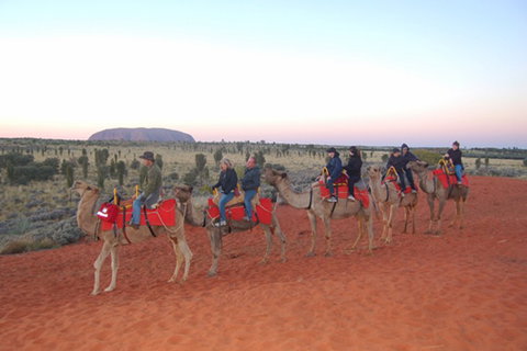 Ayers Rock - Outback Pioneer Lodge - Accommodation VIC 1