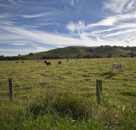 Annas Retreat - Accommodation VIC