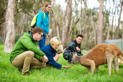 Mt Lofty YHA - Accommodation VIC 7