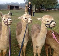 Bunyip Springs Farmstay - Accommodation VIC