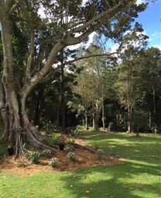 Beechmont Retreat - Accommodation VIC 0