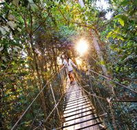 O'Reilly's Rainforest Retreat - Accommodation VIC