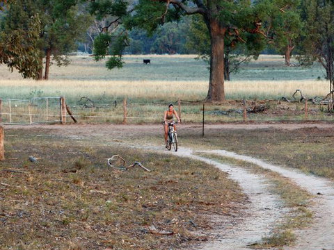 Barkala Farmstay And Blue Wren Bush Cafe - Accommodation VIC 6