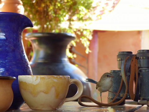 Barkala Farmstay And Blue Wren Bush Cafe - Accommodation VIC 9