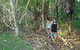 Berry Creek Bush Retreat - thumb 7
