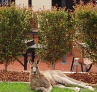 Alpha Canberra Hotel and Apartments - Accommodation VIC