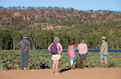 Mount Nancar Wilderness Retreat - Accommodation VIC 5